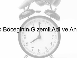 ateş böceğinin diğer adı