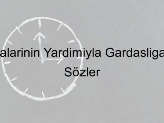 gardaş sözleri